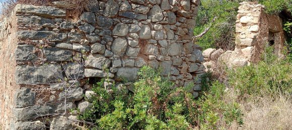 1 bedroom House in Faro, Portugal No. 29101 2