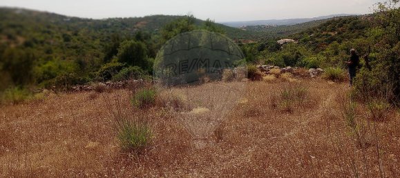 1 bedroom House in Faro, Portugal No. 29101 5