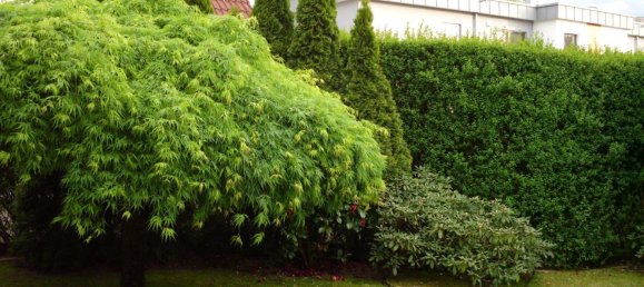 3 chambres Maison de ville à Mettmann, Germany No. 297319 19