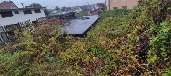 3 chambres Maison à Mansfeld-Sudharz, Germany No. 288572 7