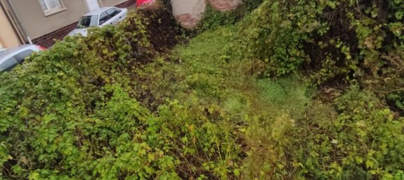 3 chambres Maison à Mansfeld-Sudharz, Germany No. 288572 6