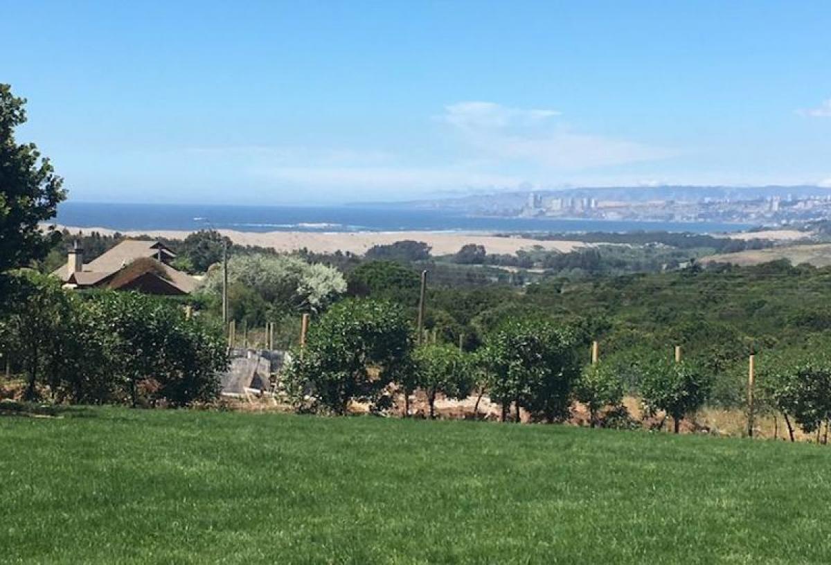 4 bedrooms House in Valparaiso, Chile No. 4045