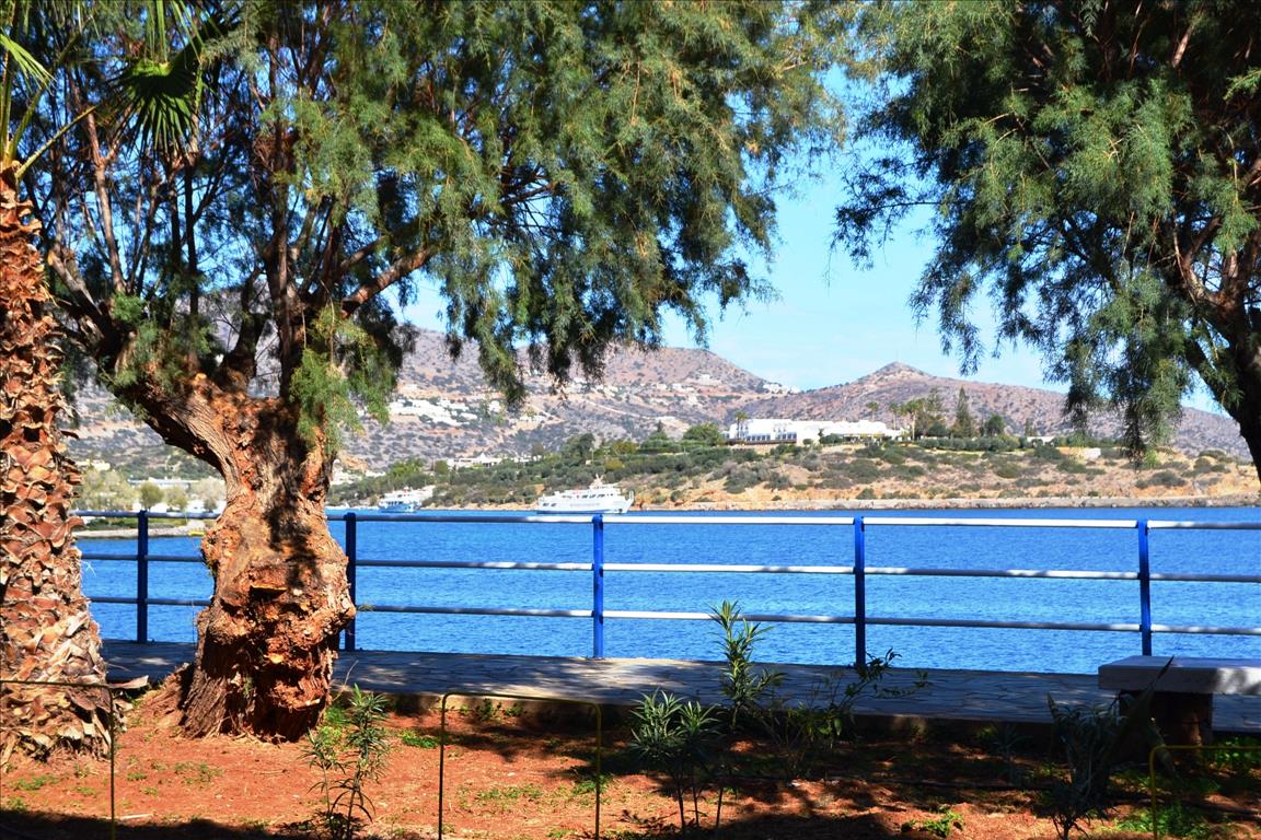 220m² Land in Agios Nikolaos, Greece No. 6522
