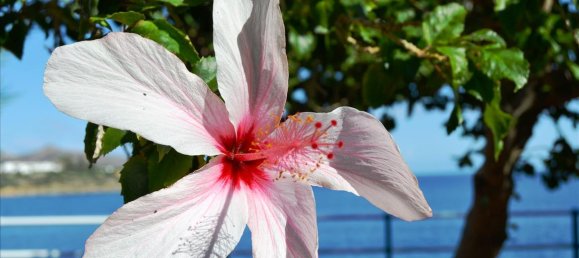 220m² Land in Agios Nikolaos, Greece No. 6522 10