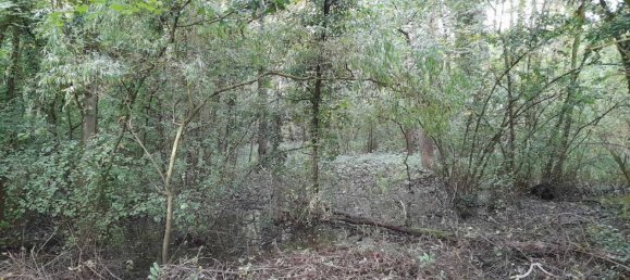 Grundstück in Houry, France 9231m², Nr. 223834 13