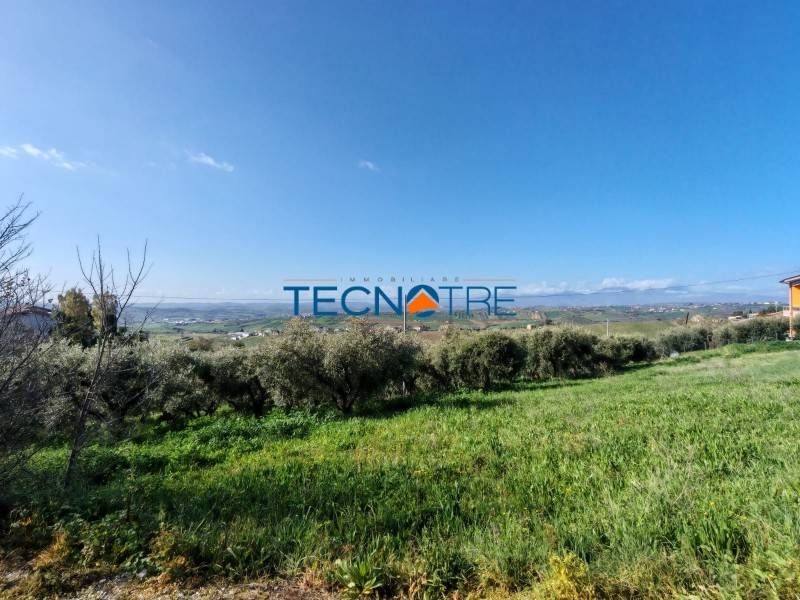 7750m² Land in Colonnella, Italy No. 15359
