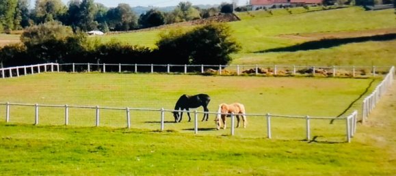 6 Schlafzimmer Haus in Roatto, Italy, Nr. 212155 4
