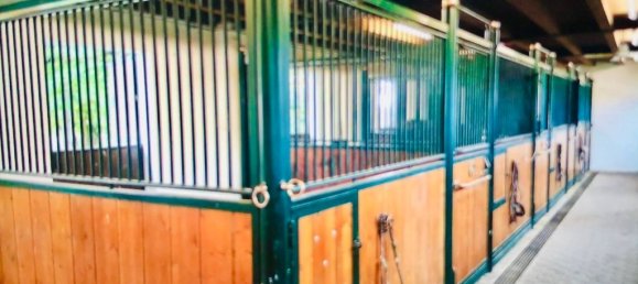 6 Schlafzimmer Haus in Roatto, Italy, Nr. 212155 10