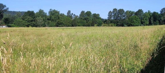  Land in Cantabria, Spain No. 154495 2