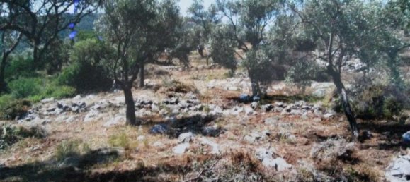 Отель, гостиница 10271м² в Спорады, Греция № 4227 3