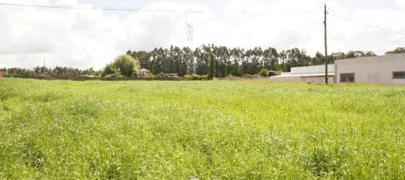 1230m² Land in Oliveira de Azemeis, Portugal No. 149643 4