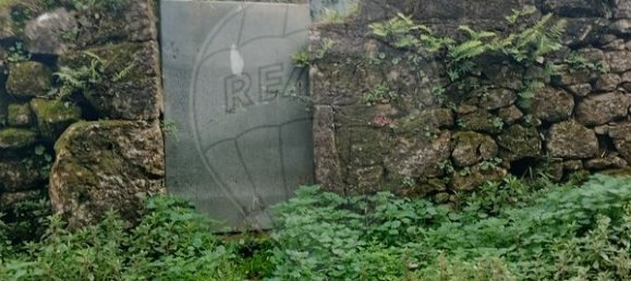 4 غرف نوم منزل في Penela, Portugal رقم 39620 6