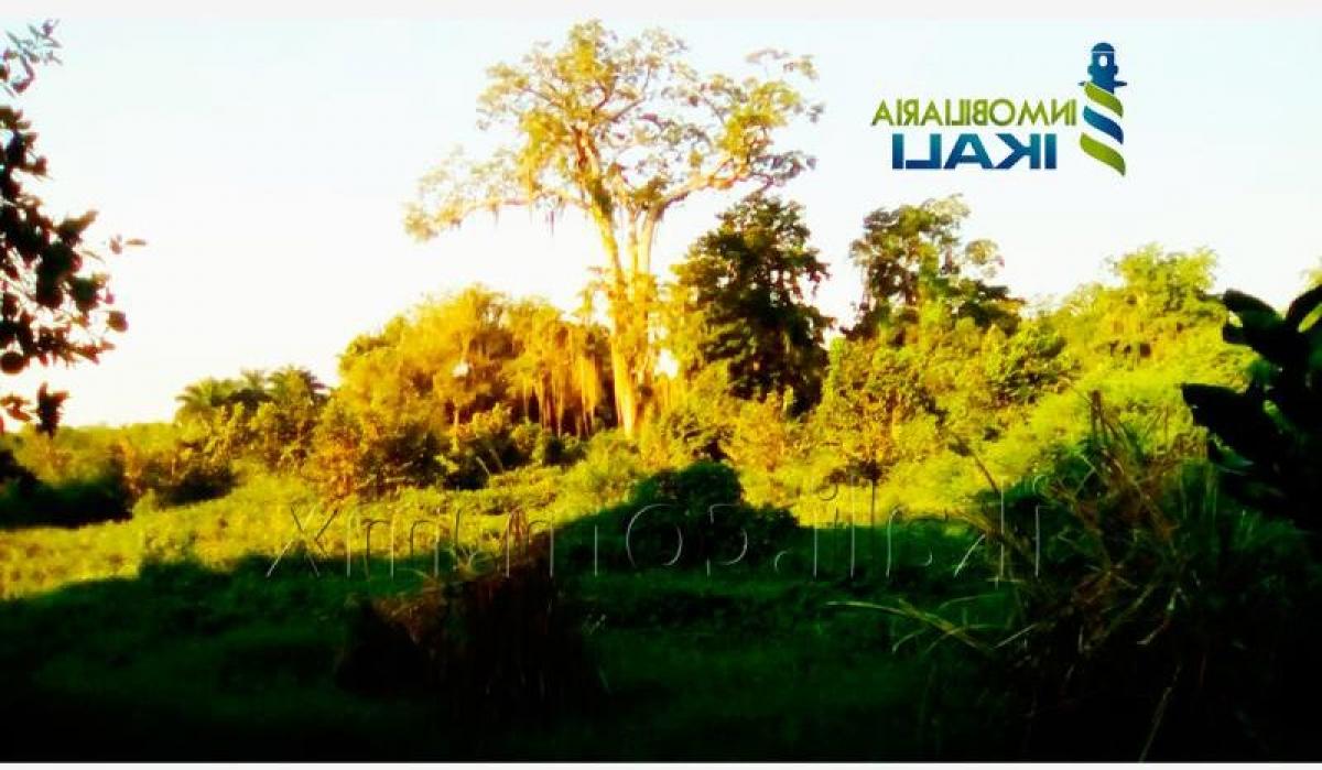 Grundstück in Veracruz, Mexico, Nr. 206128