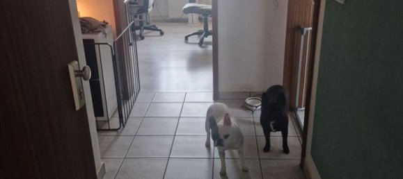 Квартира с 4 комнатами в Бад-Дюркхайм, Германия № 173231 14