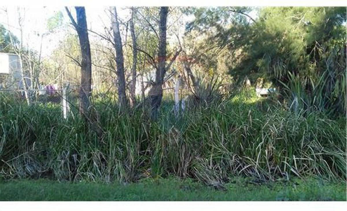  قطعة أرض في Tigre, Argentina رقم 41726