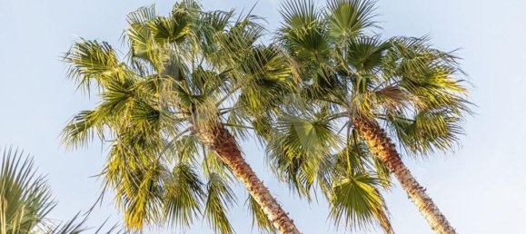 Дом с 3 спальнями в Поршеш, Португалия № 78407 2