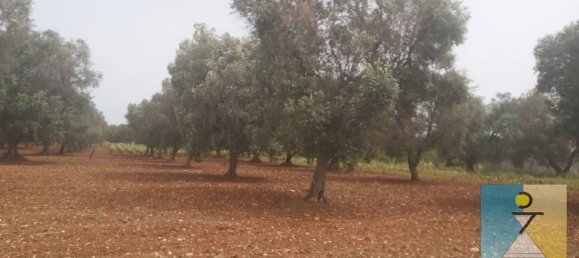 4-salle Maison à San Vito dei Normanni, Italy No. 162549 8