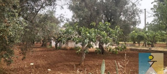 4-salle Maison à San Vito dei Normanni, Italy No. 162549 9