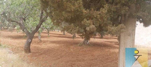 4-salle Maison à San Vito dei Normanni, Italy No. 162549 19