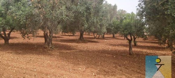 4-salle Maison à San Vito dei Normanni, Italy No. 162549 21