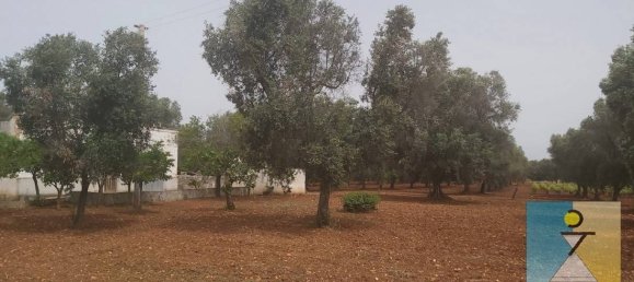 4-salle Maison à San Vito dei Normanni, Italy No. 162549 23