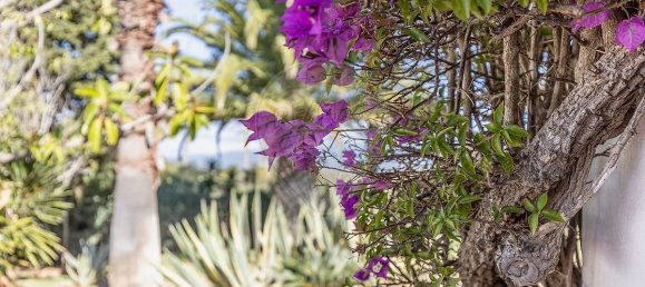 Villa de 3 dormitorios en Mexilhoeira Grande, Portugal No. 34160 30