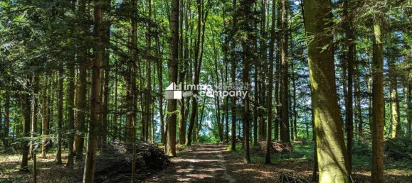  قطعة أرض في Mattsee, Austria رقم 95327 5