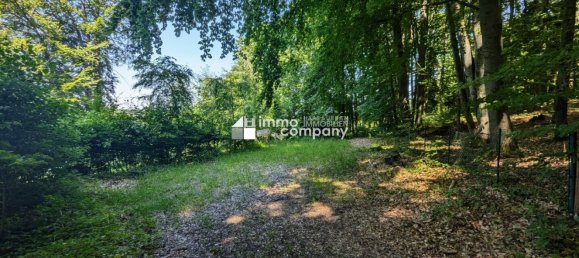  قطعة أرض في Mattsee, Austria رقم 95327 7