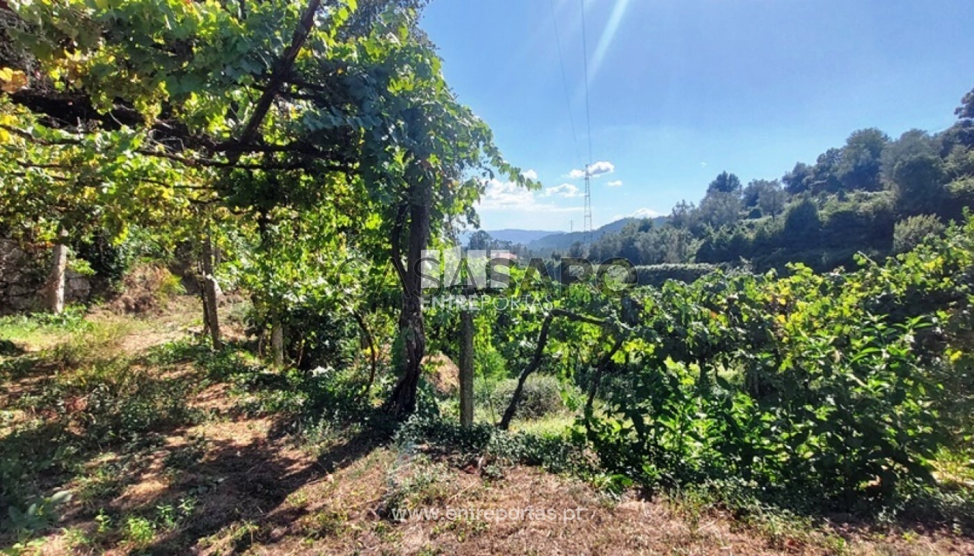 1 bedroom Land in Arcos de Valdevez, Portugal No. 328020