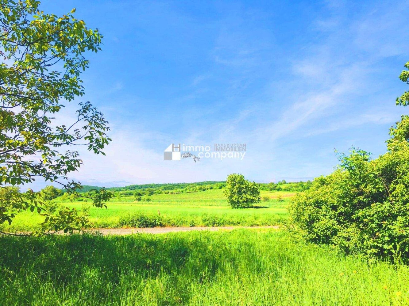 2278m² Land in Eisenstadt Umgebung, Austria No. 125418