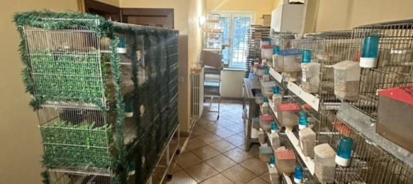 2غرفة مستودع في Sant'Alessio con Vialone, Italy رقم 366020 21