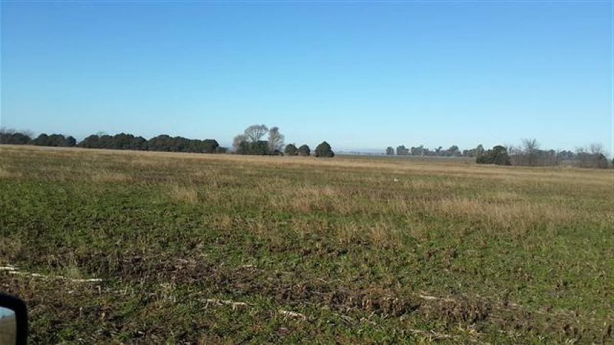  Land in Santa Fe, Argentina No. 31156