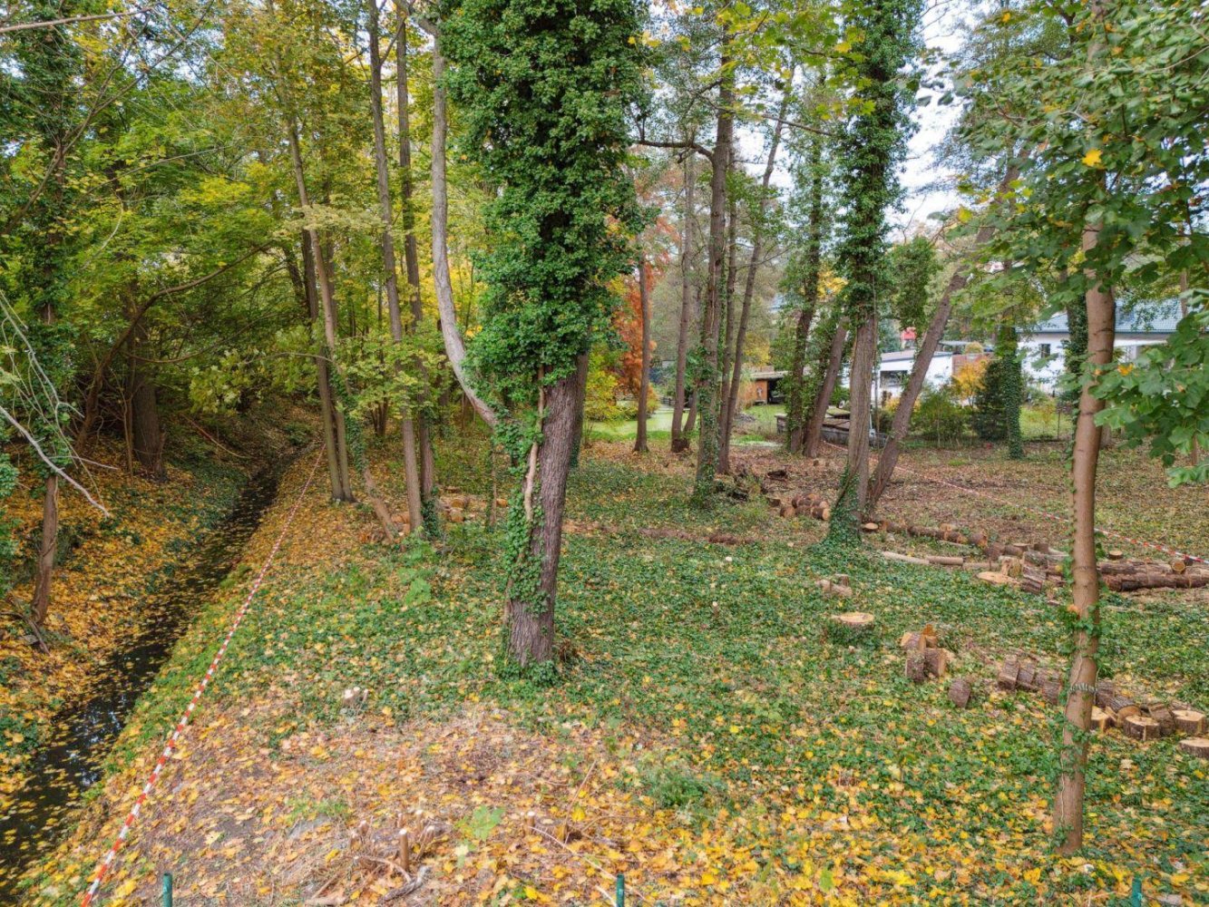  قطعة أرض في Dahme-Spreewald, Germany رقم 266376