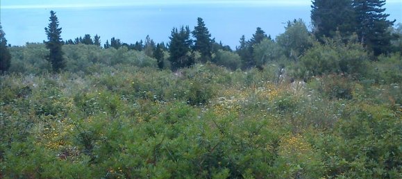 4280m² Hotel in Corfu, Greece No. 6719 3