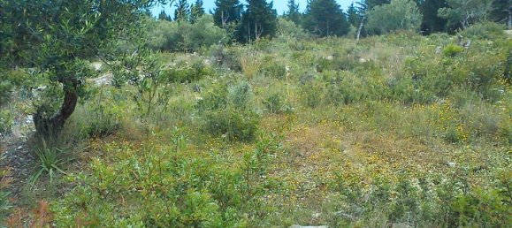 4280m² Hotel in Corfu, Greece No. 6719 4