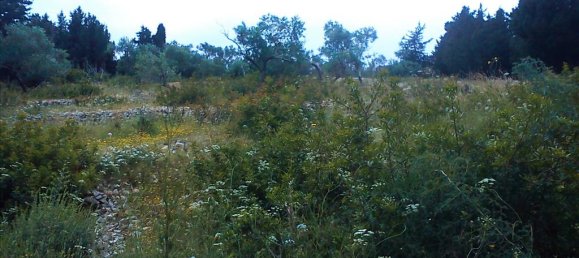 4280m² Hotel in Corfu, Greece No. 6719 2