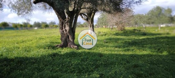 Terrain à Loule, Portugal 2170m² No. 77731 10