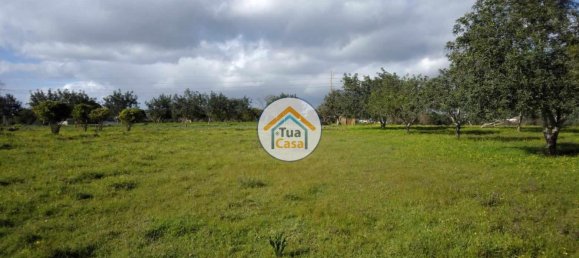 Terrain à Loule, Portugal 2170m² No. 77731 4