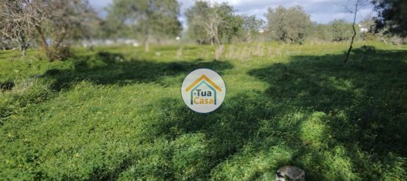 Terrain à Loule, Portugal 2170m² No. 77731 11