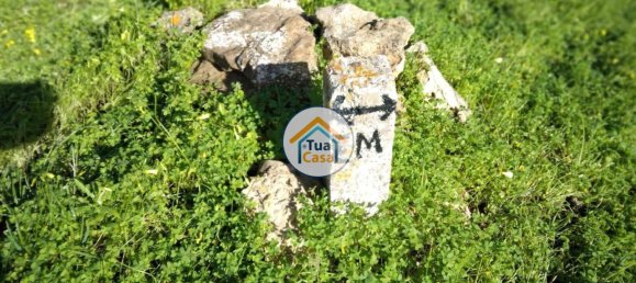 Terrain à Loule, Portugal 2170m² No. 77731 3