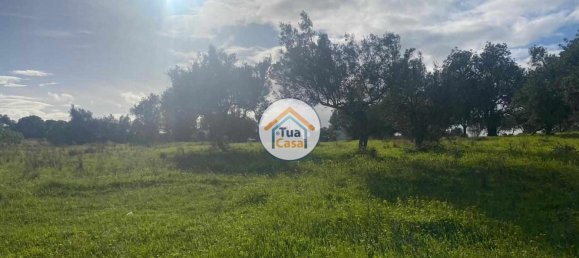 Terrain à Loule, Portugal 2170m² No. 77731 14