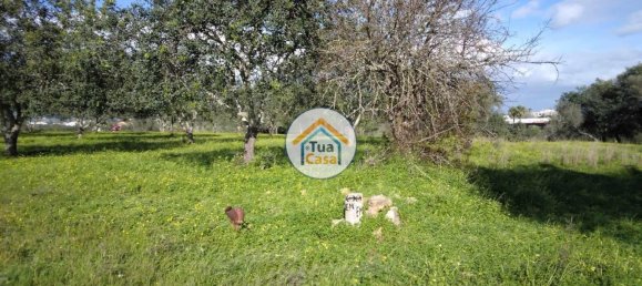 Terrain à Loule, Portugal 2170m² No. 77731 2