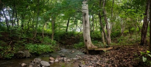  Land in Santa Cruz, Costa Rica No. 1492 6