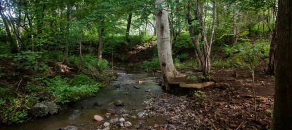 Land in Santa Cruz, Costa Rica No. 1492 4