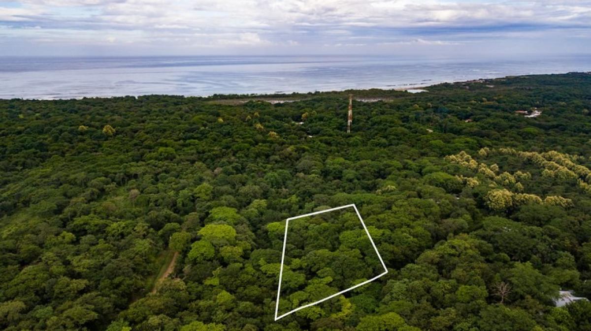  Land in Santa Cruz, Costa Rica No. 1492