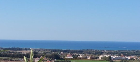 4 bedrooms Villa in Geroskípou, Cyprus No. 9510 15