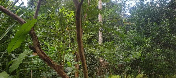 Дом с 3 спальнями в Порт-Вила, Вануату № 87 6