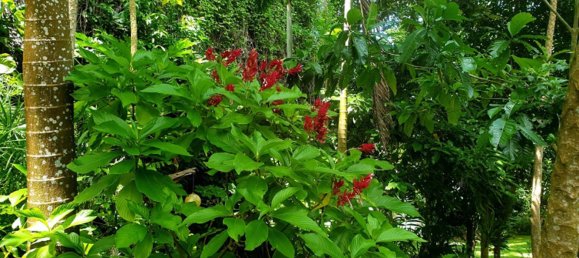 Дом с 3 спальнями в Порт-Вила, Вануату № 87 11