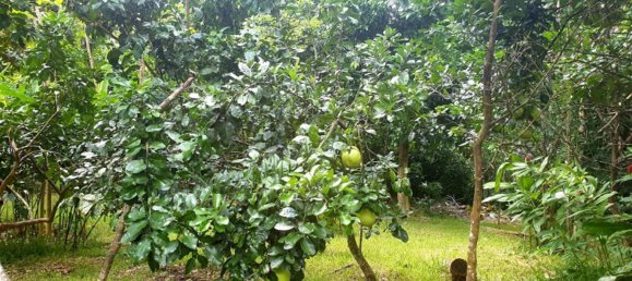 Дом с 3 спальнями в Порт-Вила, Вануату № 87 10