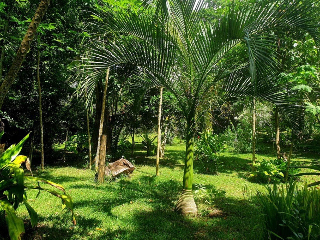 Дом с 3 спальнями в Порт-Вила, Вануату № 87